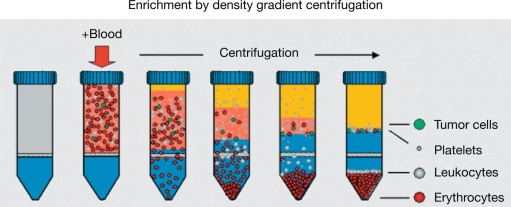 Density Gradient Centrifugation
